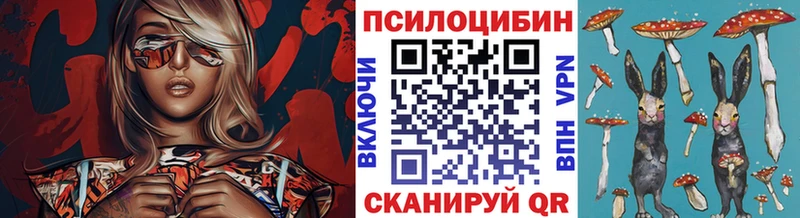 Псилоцибиновые грибы Cubensis  купить   Бутурлиновка 