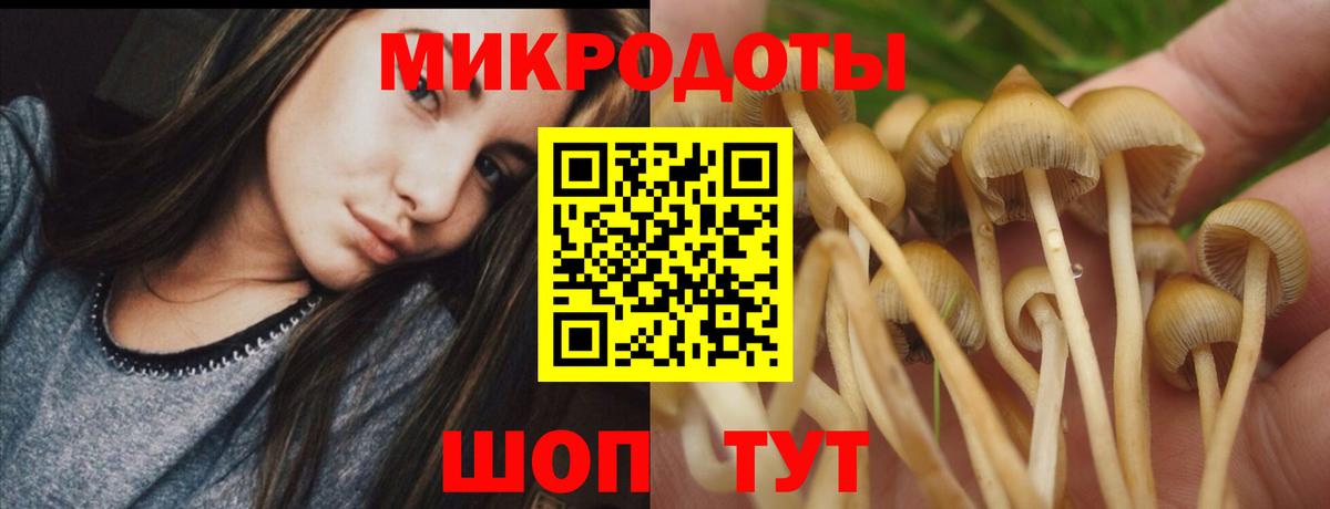 Галлюциногенные грибы прущие грибы Бутурлиновка